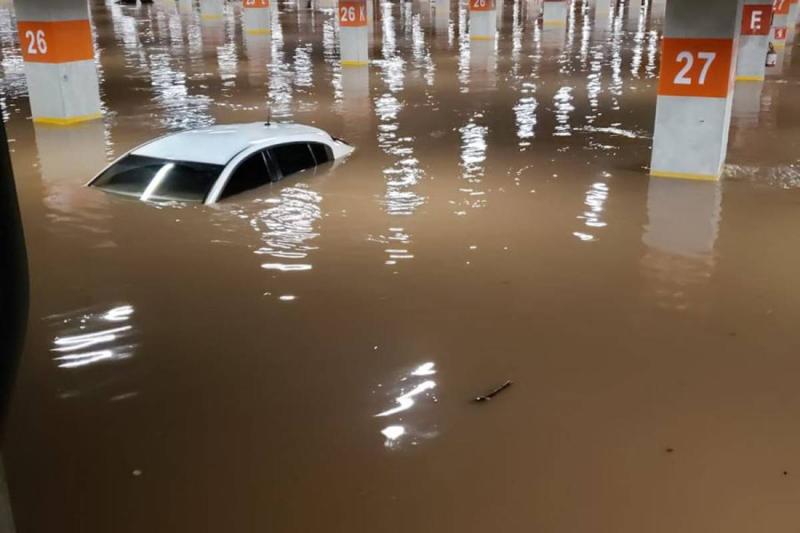 Lições da chuva